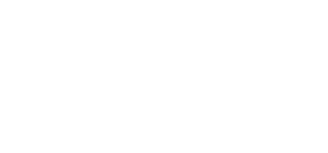 WCAG logo wit